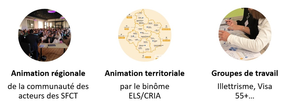 TF-SFCT-AnimationSFCT-Composantes